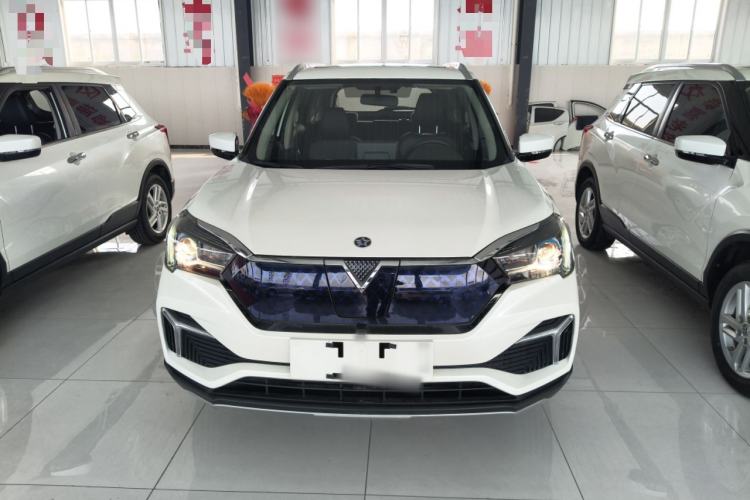 Used Venucia T60EV 2020 AI Enjoyment Model