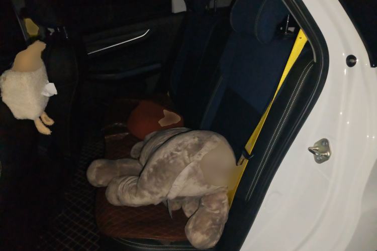 Used Geometry EX3 Kung Fu Cow 2021 Kungfu NiuNiu
