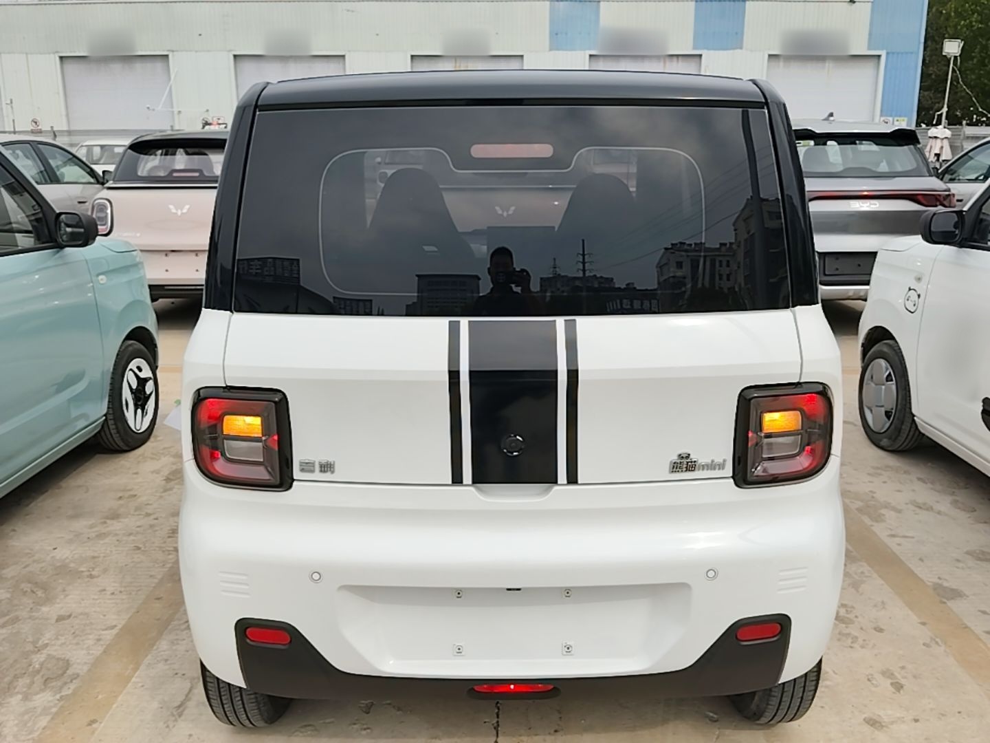 Geely Galaxy Panda 2023 Panda Mini 200km Endurance Bear — снимка 5