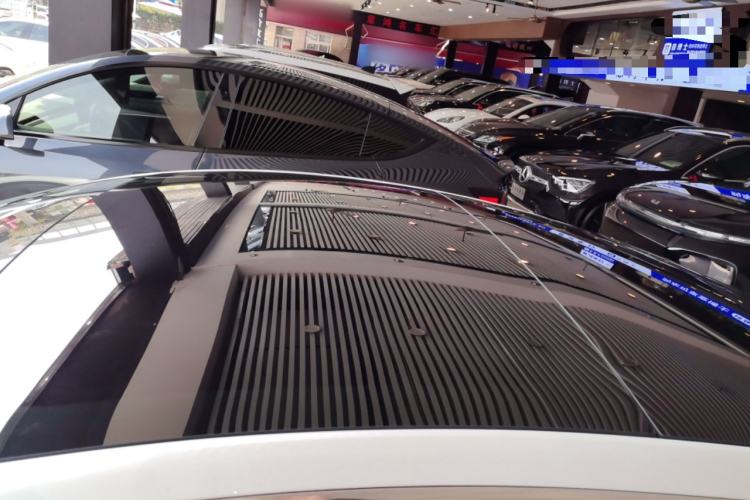 Used Tesla Model 3 2019 Standard Range Rear-Wheel Drive Upgraded Version (52 kWh) Roof