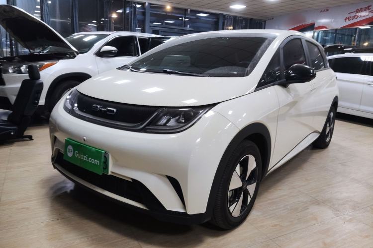 Used BYD Dolphin 2023 420 km Free Version