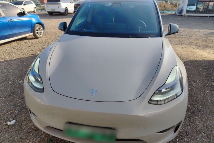 Used Tesla Model Y 2021 Standard Range Rear-Wheel Drive Version
