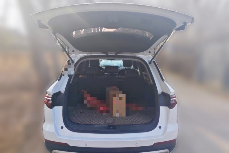 Used BYD Song Pro 2019 1.5T Automatic Luxury Model
