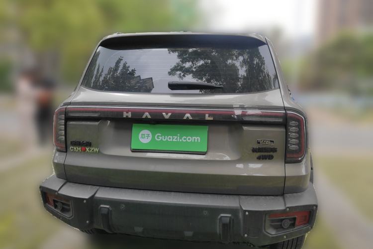 Used Haval DARGO 2024 2.0T DCT Chinese Rural Dog Edition Rear