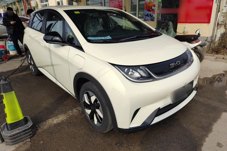 Used BYD Dolphin 2025 420km Free Edition
