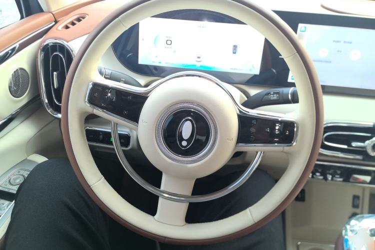 Used ORA Ballet Cat 2023 401 km Luxury Version
