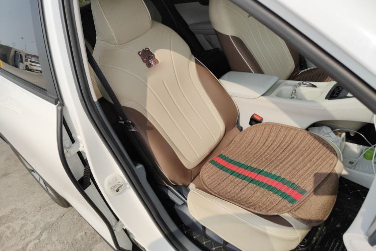 Used Geely Galaxy Geome 2025 310km Youth Edition Right Front Seat