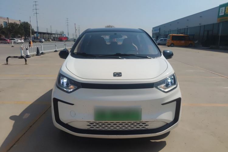 Used SOL E10X 2022 Flower Fairy Design Four-Leaf Clover