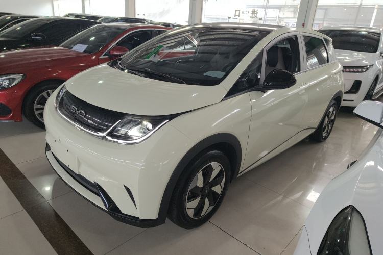Used BYD Dolphin 2024 Honor Edition 420km Fashion Version