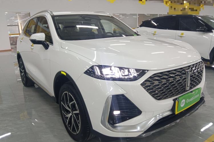 Used Wey Latte DHT-PHEV 2022 1.5T Four-Wheel Drive Extra-Large Version
