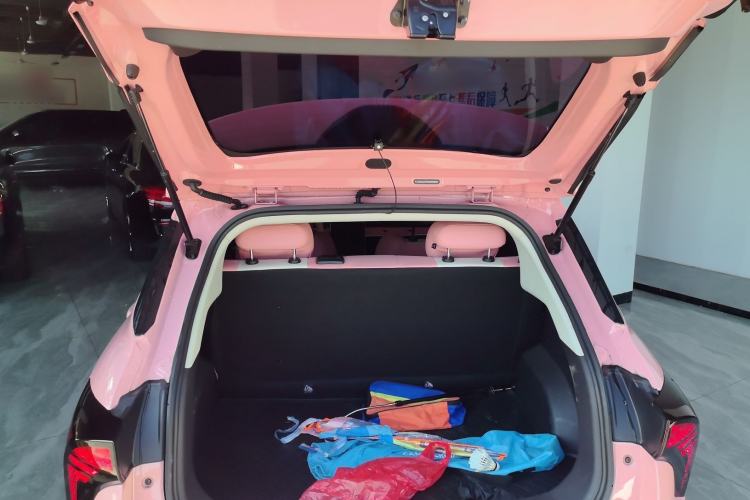 Used NETA V 2021 Witch Edition
