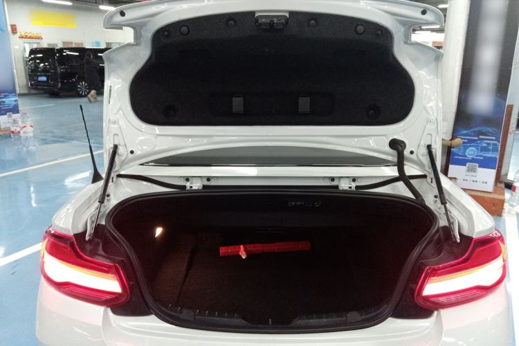 Used BMW 2 Series (Import) 2019 225i Convertible Coupe Luxury Edition M Sport Package
