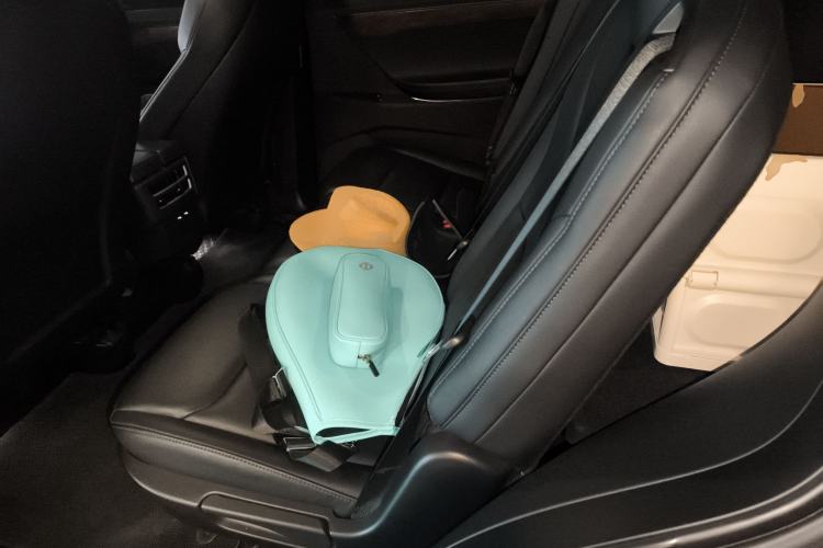 Used Tesla Model X 2019 Long-Range Version