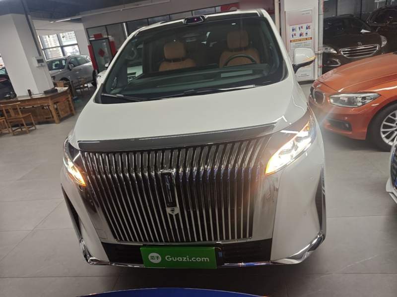 Used Wey Gaoshan 2025 Four-Wheel Drive Alpine 8 — 2