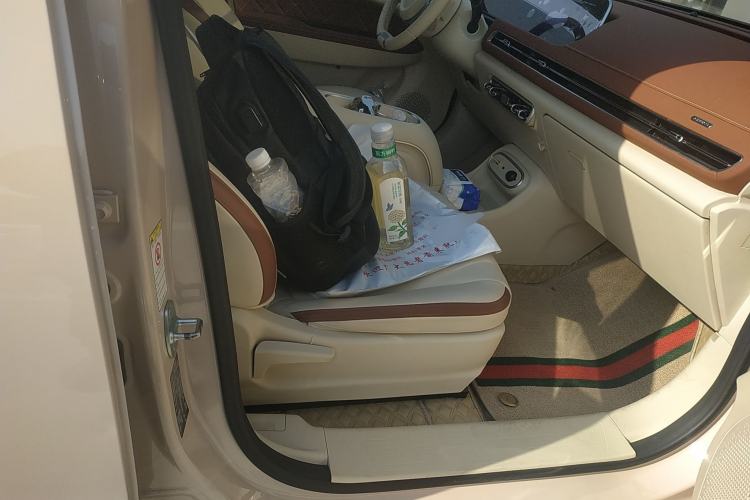 Used ORA Good Cat 2023 401 km Standard Range Luxury Version Lithium Iron Phosphate