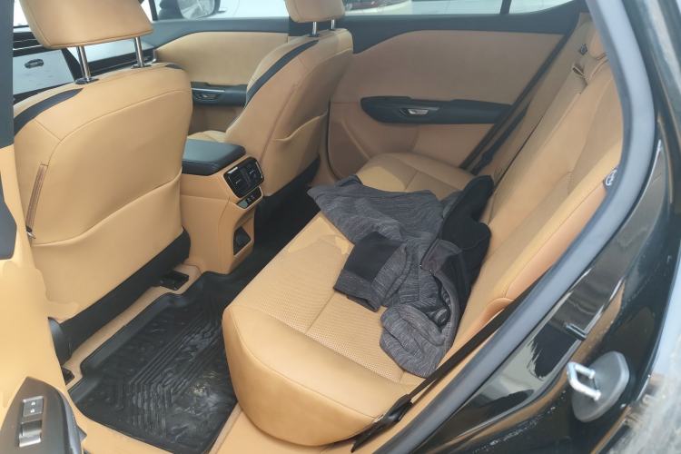 Used Lexus RZ 2023 450e All-Wheel Drive Luxury Edition Left Rear Seat