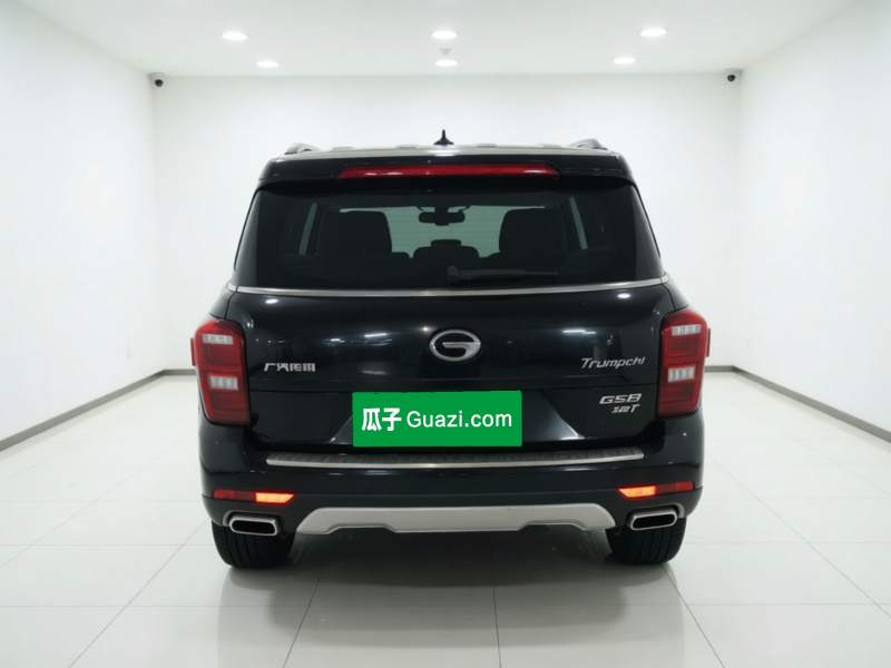 Used GAC Trumpchi GS8 2017 320T Two-Wheel Drive Luxury Smart Connectivity Version (7 Seats) — 14