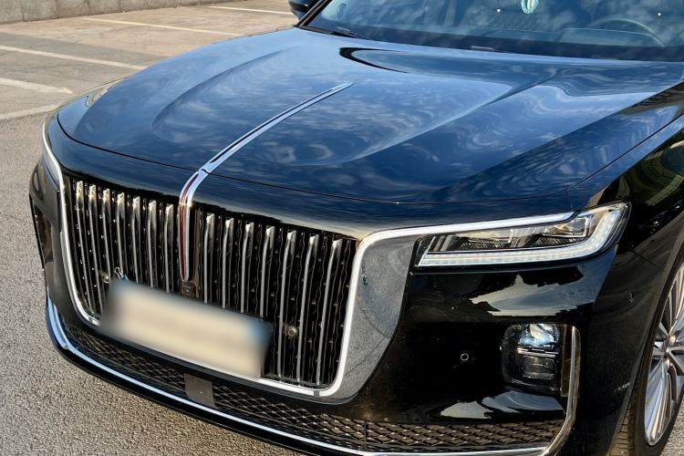 Used Hongqi H9 2020 2.0T Smart Connect Flagship Edition