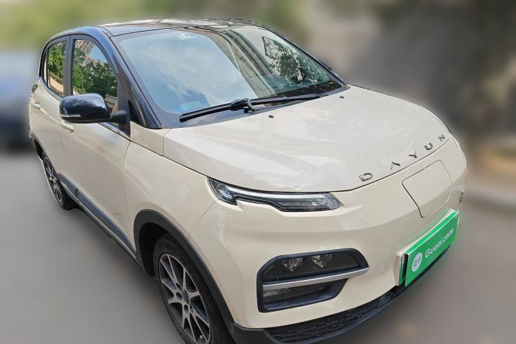 Used Dayun Yuehu 2021 32.85 kWh Two-Wheel-Drive Sprite Version
