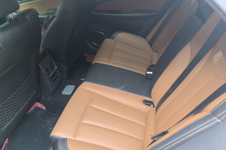 Used BYD Qin New Energy 2017 1.5T Luxury Model Left Rear Seat