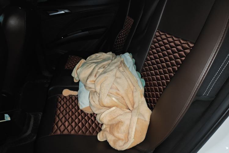 Used NETA V 2021 Standard Range Entertainment Edition Left Rear Seat