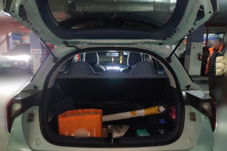 Used Geometry E Firefly 2022 401 km Linglong Tiger 4 Seats Trunk