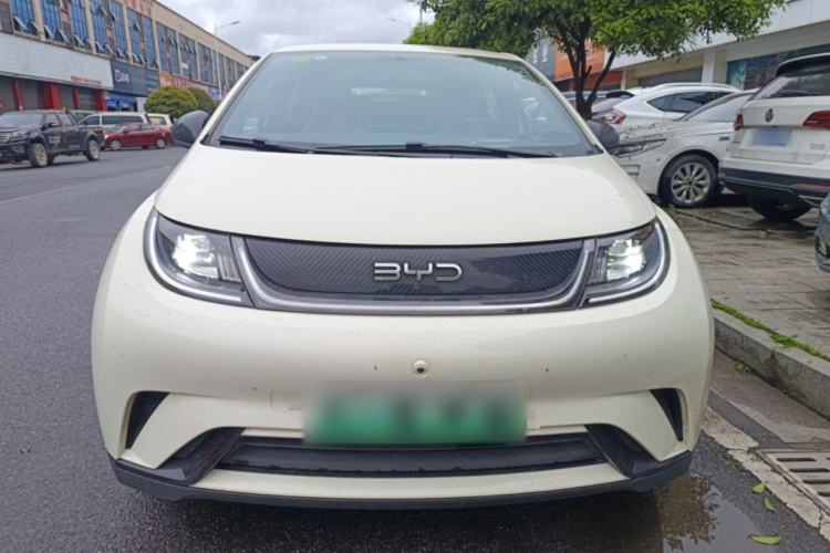 Used BYD Dolphin 2025 420km Free Edition
