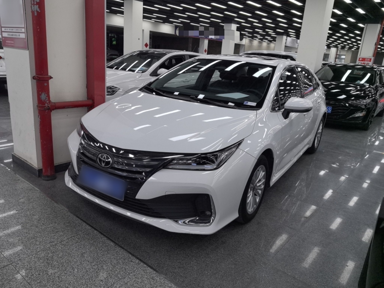 تحت مقدمة السيارة