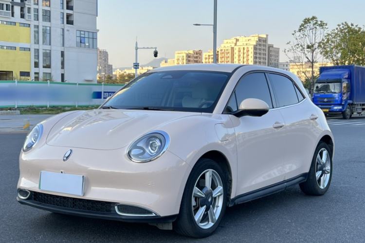 Used ORA Good Cat 2023 401 km Standard Range Luxury Version Lithium Iron Phosphate
