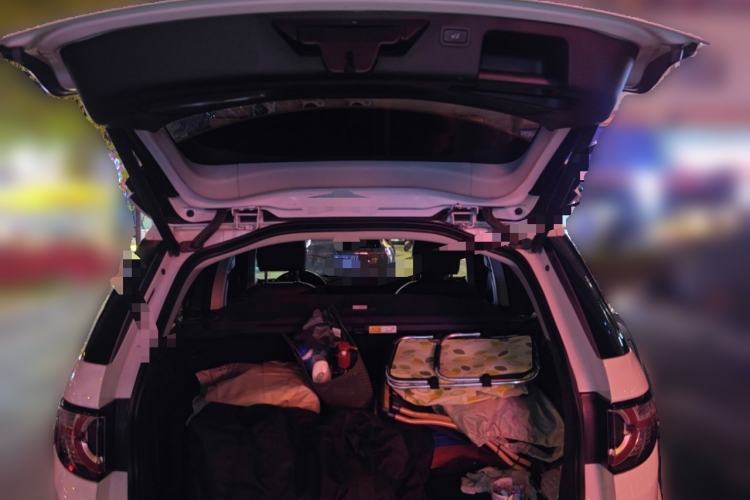 Used Land Rover Discovery Sport 2019 240 PS SE Version China VI Standard Trunk