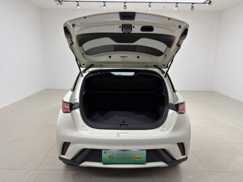 Used BYD Dolphin 2025 420km Free Edition — 19