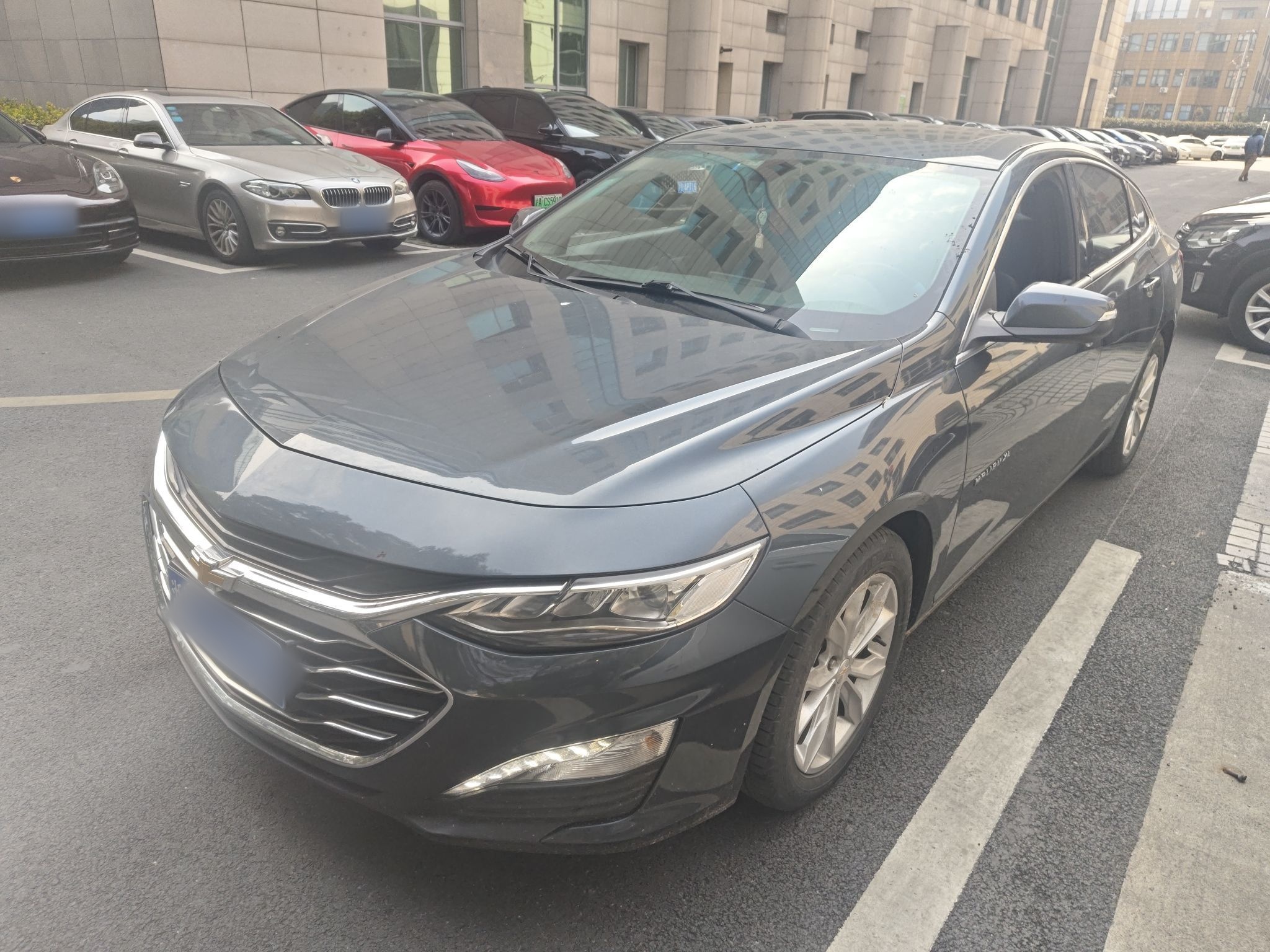 Parte inferior delantera