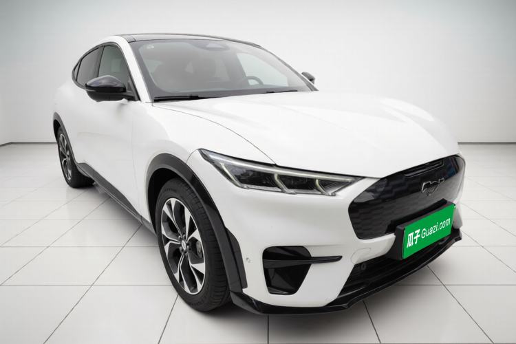 Used Ford Mustang Mach-E 2021 AION Y Plus Rear-Drive Luxury Edition (Long Range)