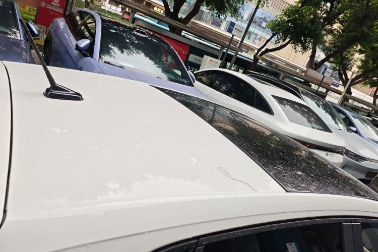 Used Volkswagen Polo 2021 Plus 1.5L Automatic Colorful Tech Edition
