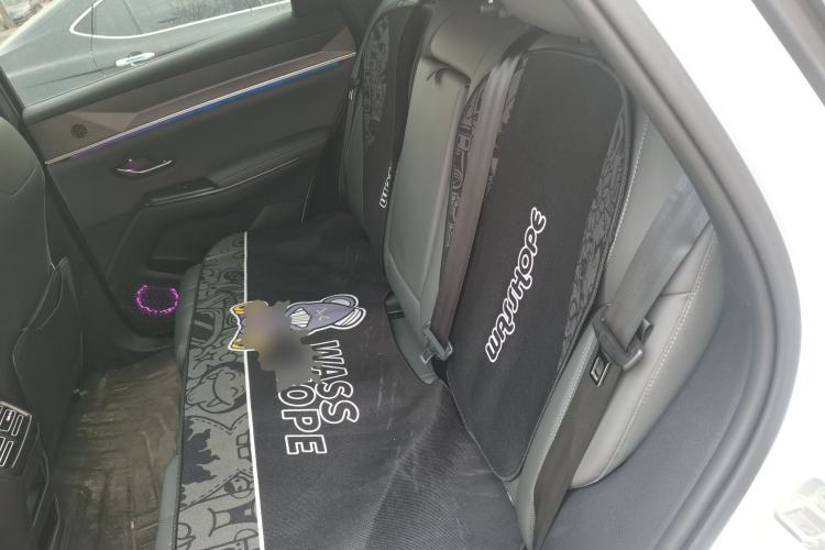 Used BYD Song Pro New Energy 2025 2nd Generation Intelligent Driving Version DM-i 75KM Leading Edition Left Rear Seat