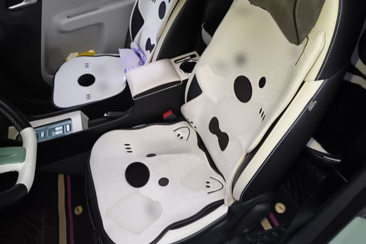 Used CHANGAN NEVO Lumin 2023 205km Xiangqin Version