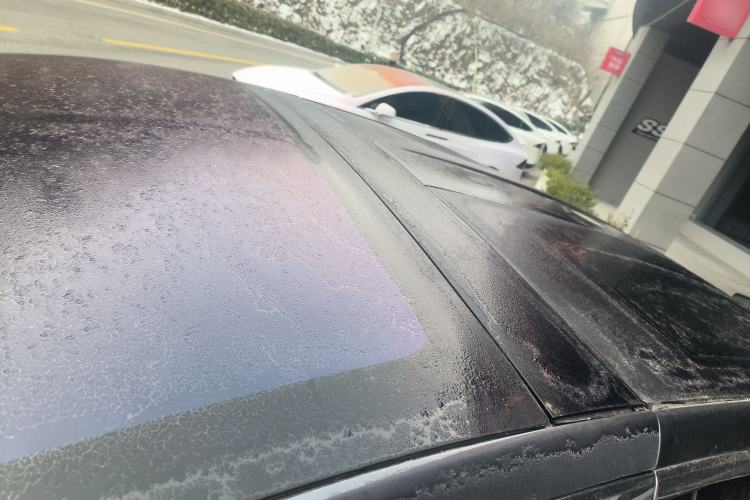 Used Tesla Model X 2019 Long-Range Version Roof