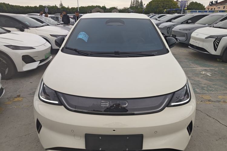 Used BYD Dolphin 2025 Smart Drive Version 420 km Freedom Edition Front