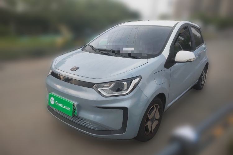 Used SOL E10X 2022 Flower Fairy Style Baby's Breath