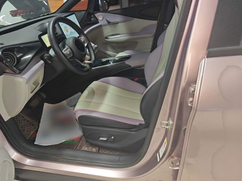 Used BYD Dolphin 2021 405 km Fashion Edition — 14