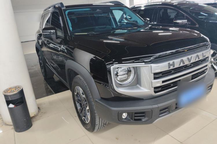 Used Haval DARGO 2024 2.0T DCT Chinese Rural Dog Edition
