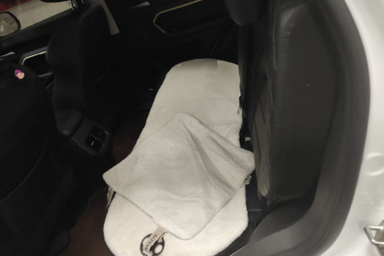 Used Haval H6 2021 1.5T Automatic Champion Edition Left Rear Seat