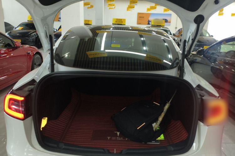 Used Tesla Model 3 2019 Standard Range Rear-Wheel Drive Upgraded Version (60 kWh)