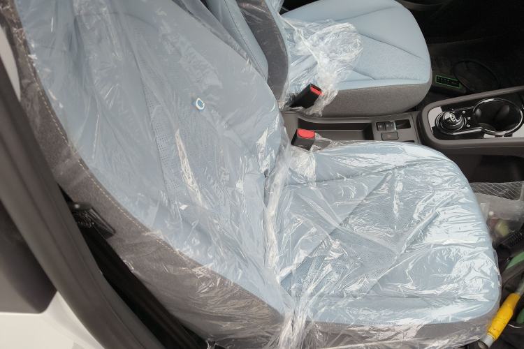 Used Chery Little Ant 2026 Model 271km True Love Version
