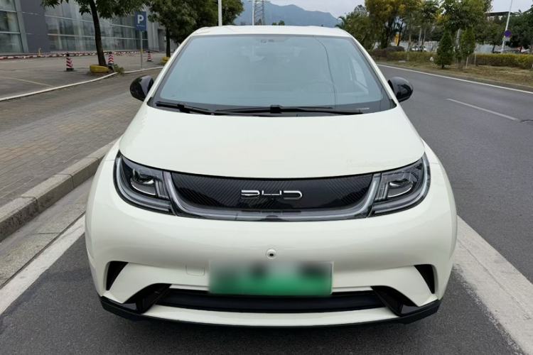 Used BYD Dolphin 2023 420 km Free Version