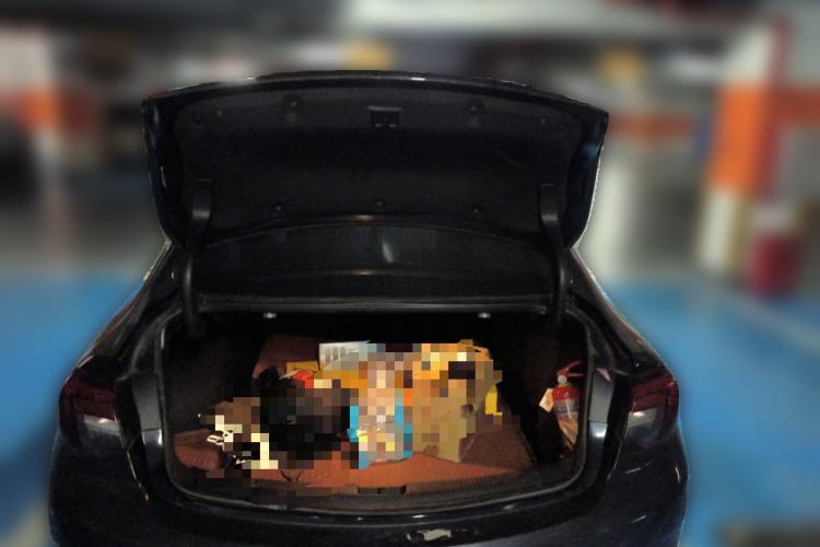 Used Buick Regal 2019 20T Elite Version China VI Standard