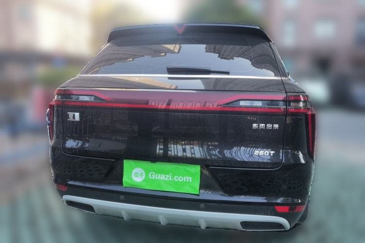 Used Venucia Star 2020 260T Automatic 48V Mild Hybrid Turbocharged Star Edition Rear