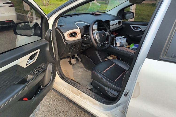 Used SOL E10X 2022 Flower Fairy Design Four-Leaf Clover