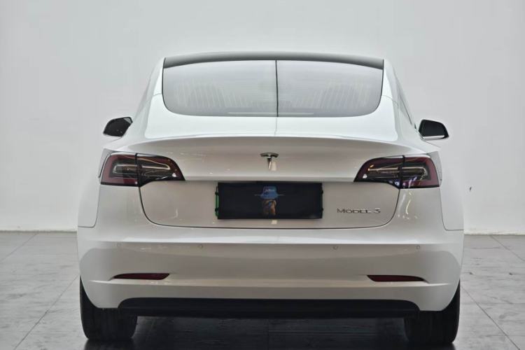 Used Tesla Model 3 2020 Revised Version Standard Range Rear-Wheel Drive – Upgraded Edition Trunk