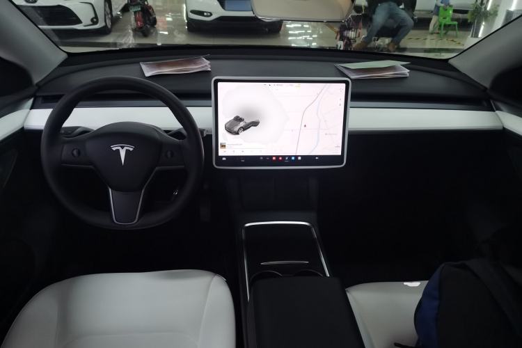 Used Tesla Model Y 2021 Standard Range Rear-Wheel Drive Version
